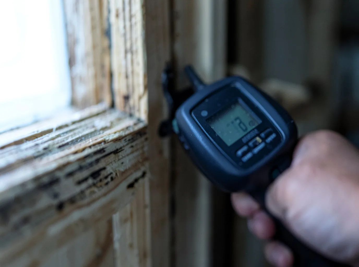 Moisture Inspection And Documentation in Dalton, PA